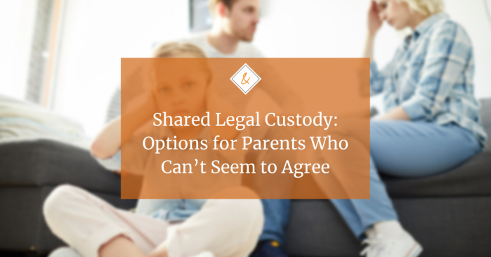 Shared shop legal custody